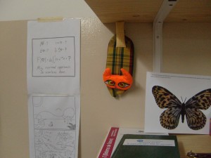 Gatito en el gabinete del SiT